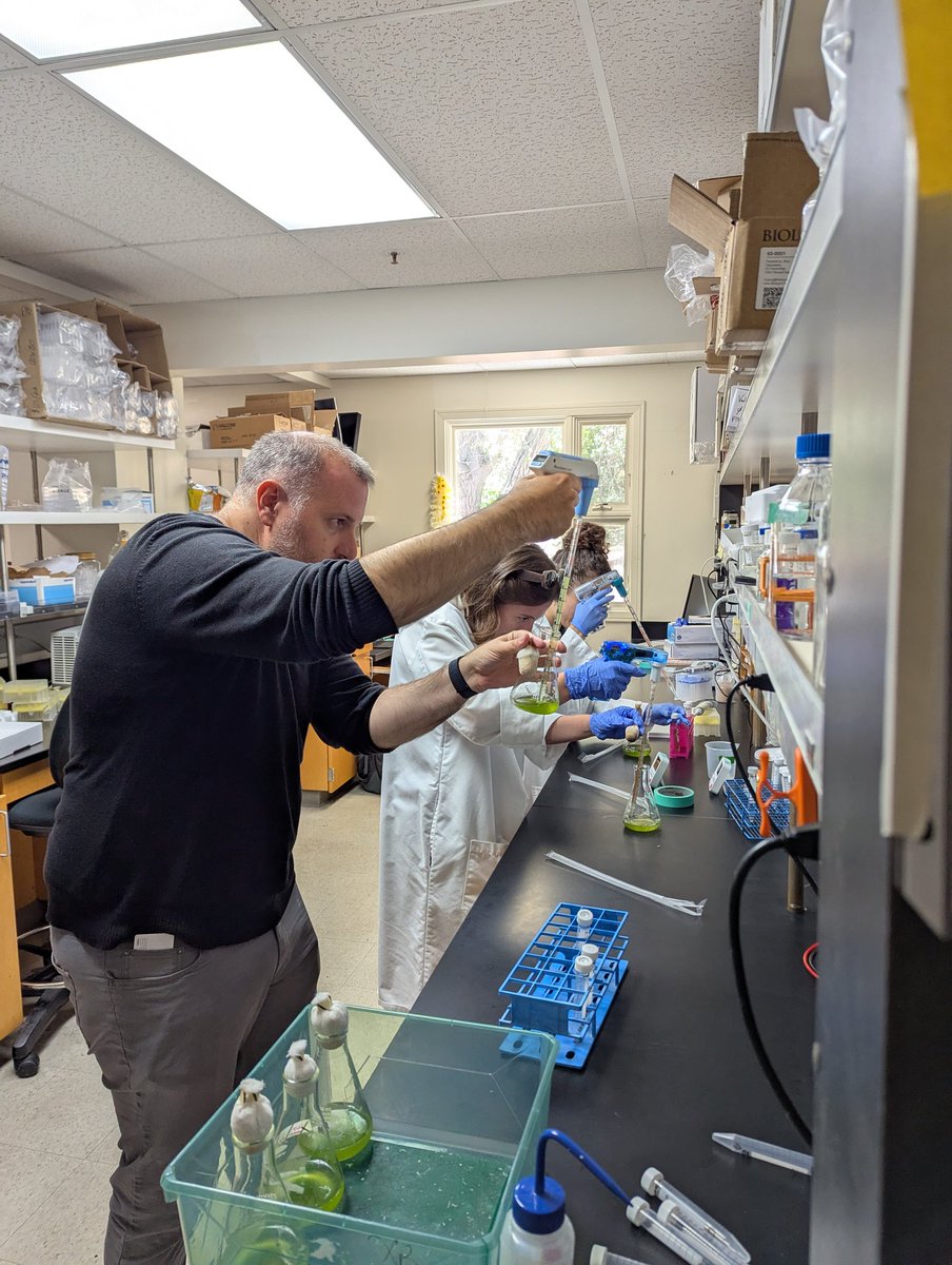 Large-scale experiments are always more fun to do together 👀 🙃
Looking forward to reveal our large-scale genome-phenome datasets on how photosynthetic cells maintain a healthy and productive bioenergetics balance ☀️🌤️