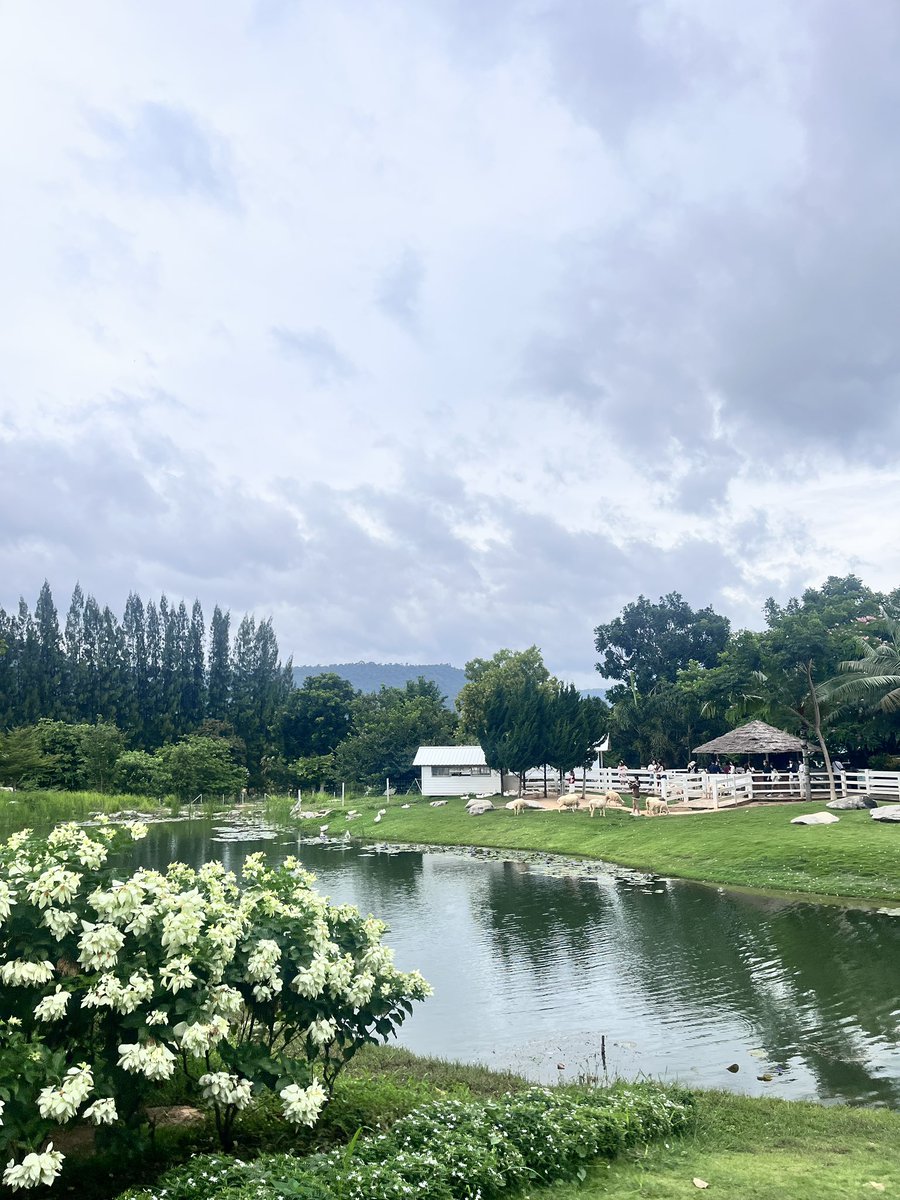 อยากไปเที่ยวเขาใหญ่อีก