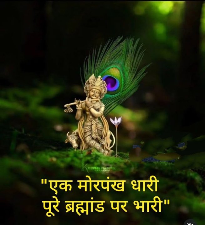 💛 कान्हा सवेरा 🙏
एक मोरपंख में समाया है प्रेम, भक्ति और भगवान की अनंत लीला।

आज का दिन कान्हा के नाम, मंगलमय हो आपका हर काम। 🚩