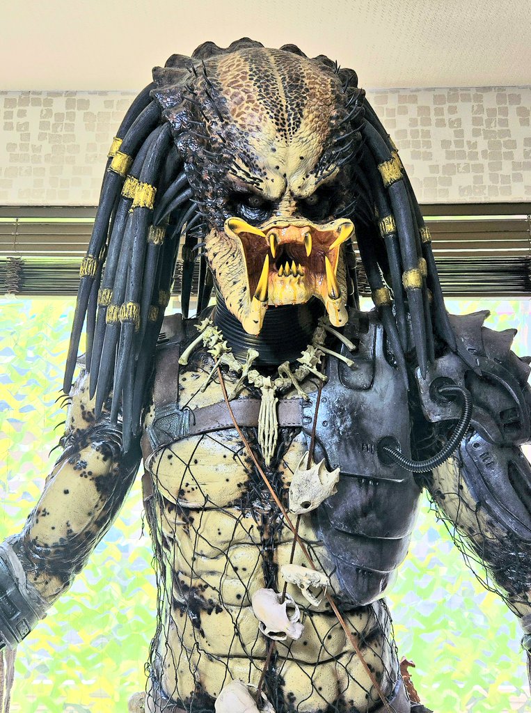 プレデターの背後に付けてる日除けシェードを迷彩ネットに変えたらジャングルみたくなって意外としっくりきた✌