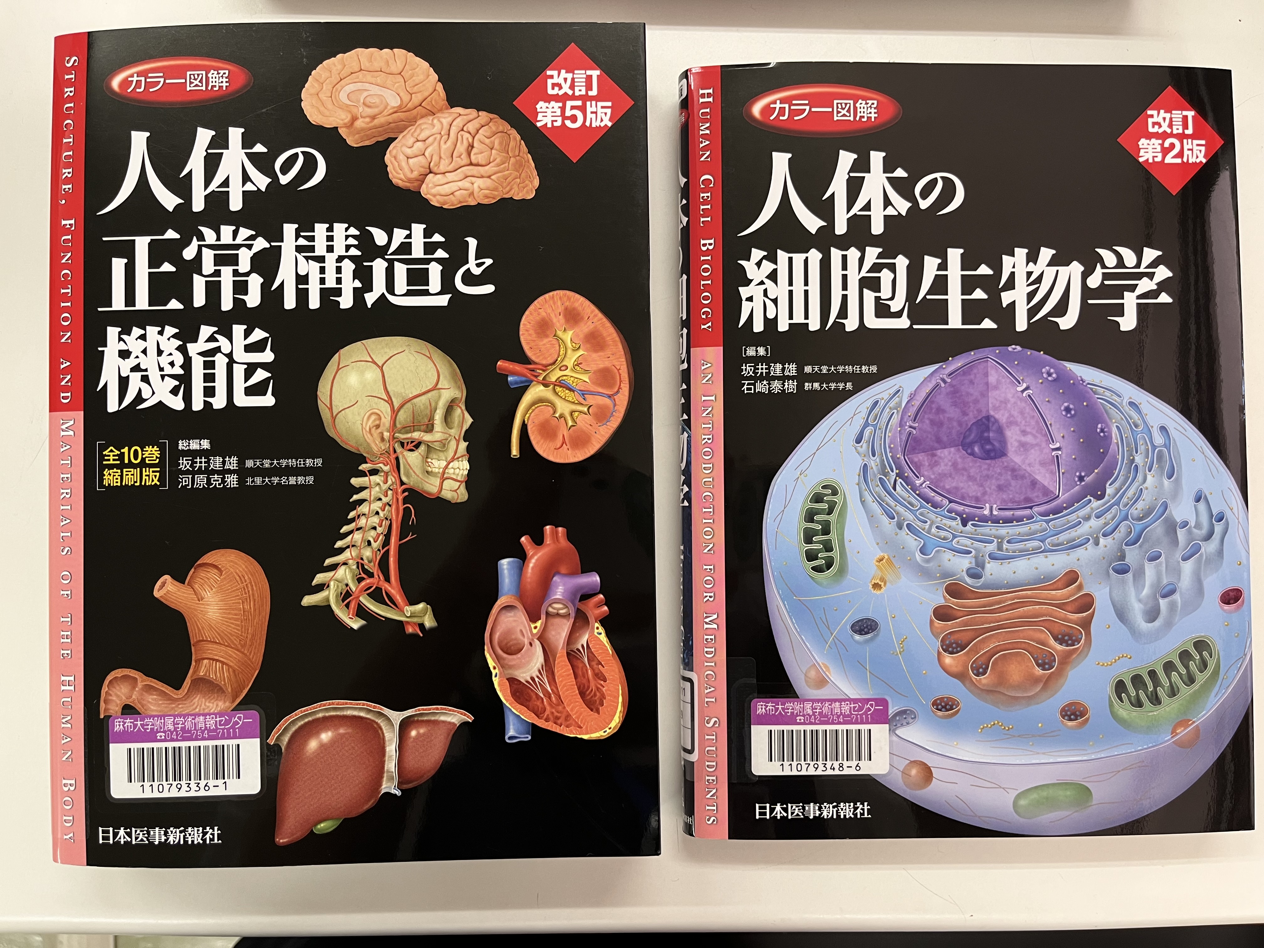人格の構造―その生物学的基礎 (1973年) (岩崎学術双書〈20〉) 人格の構造 その生物学的基礎 岩崎学術双書20(H.J.アイゼンク著