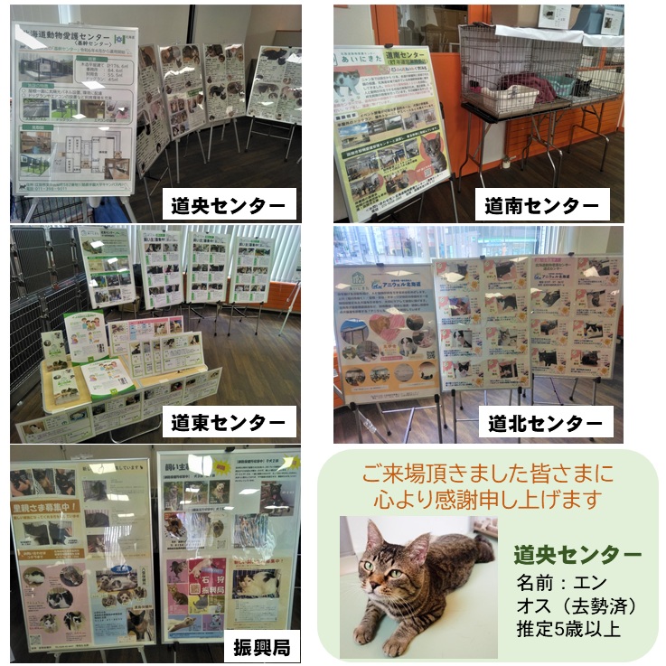 保護された犬や猫たちのことを、もっと多くの方に知っていただきたいー。８月３日（日）｢あいにきた｣４センターによる、初めての合同譲渡会を開催しました｡🎉

沢山のご来場をいただき、心より感謝申し上げます。
今後も、新しい飼い主さがし等への応援をよろしくお願いします。