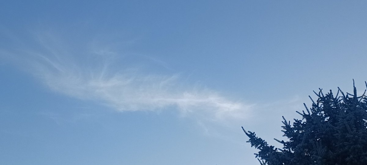 Today's chemtrail soup! It doesn't ever stop, does it?!  😡