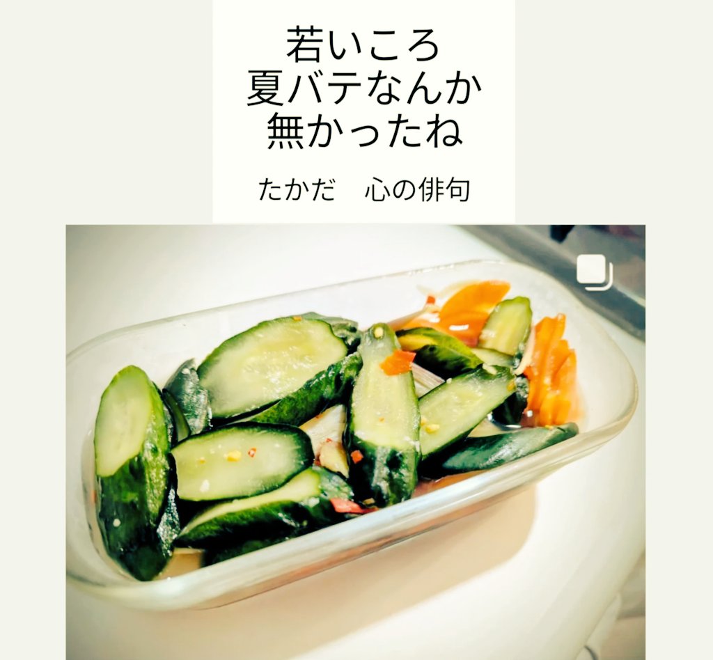 先週からの夏風邪らしき体調不良と発熱〜数種類の漢方薬漬け＋暑さで胃腸も弱っているのか、あっさりした物ばかり欲してしまい竹輪ｷｭｳﾘが主食となっております(美味しい!)。皆様もお身体にお気をつけ下さい|´-`)♨️
今年お気に入りの🥒🥕生姜ミョウガ→からのﾌﾞﾛｯｺﾘｰも美味しい浅漬け↓