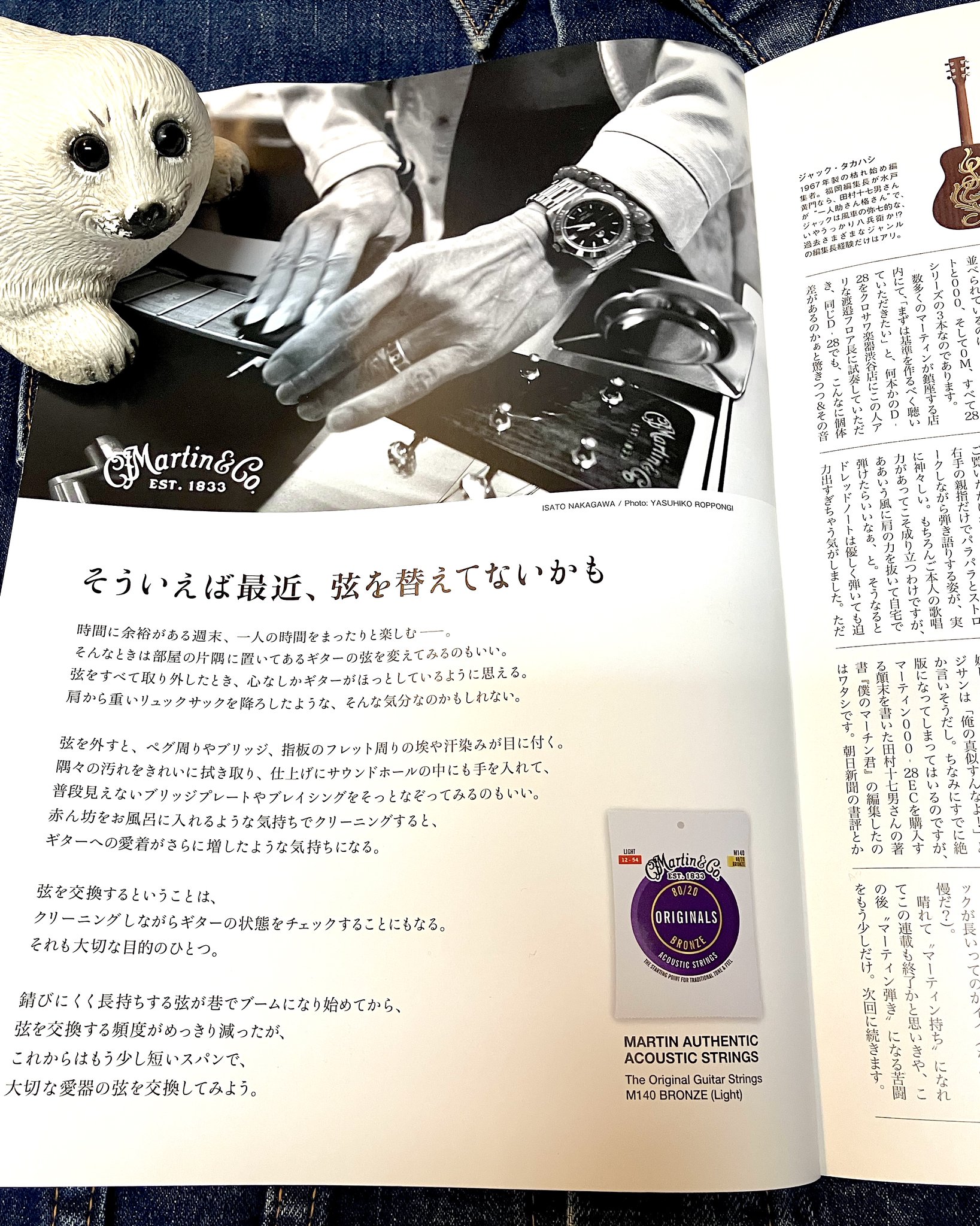 シールズレコード on X: 