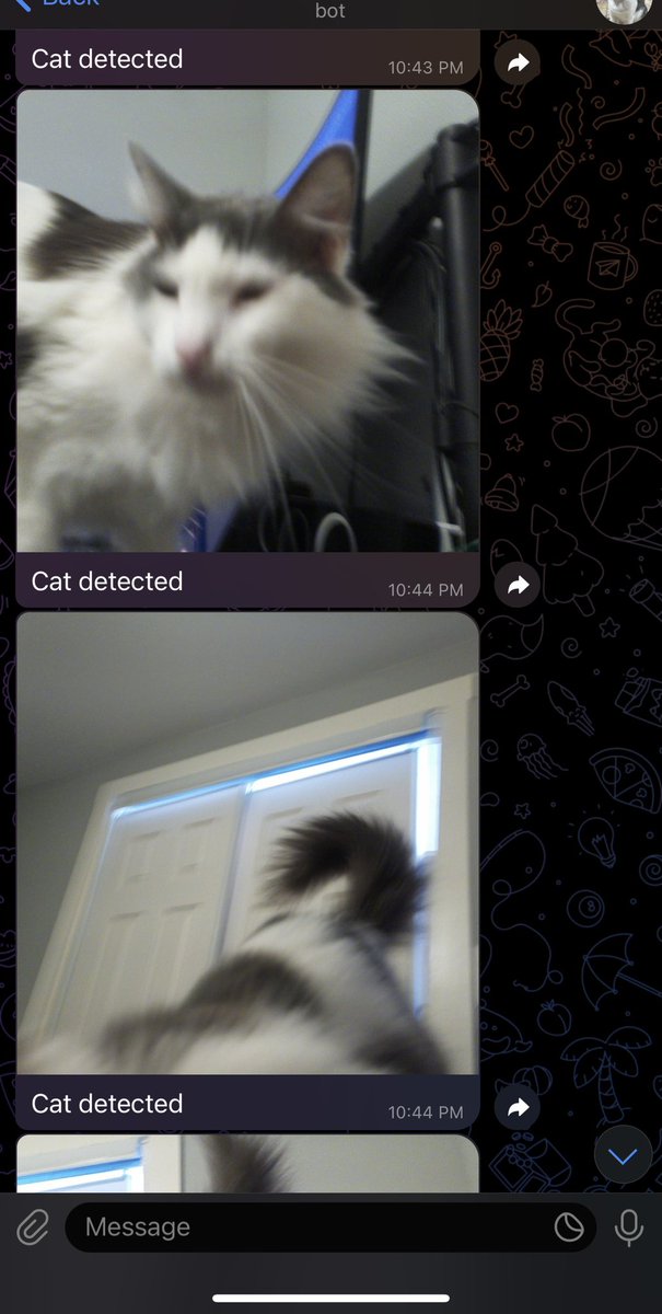 Who knew building a telegram bot was so easy? 

Took 3 steps to make it send a photo from my raspberry pi camera

1. Create the bot with BotFather

2. Pip install python-telegram-bot

3. Create a script that initializes the bot and uses send_photo func

Way easier than email!