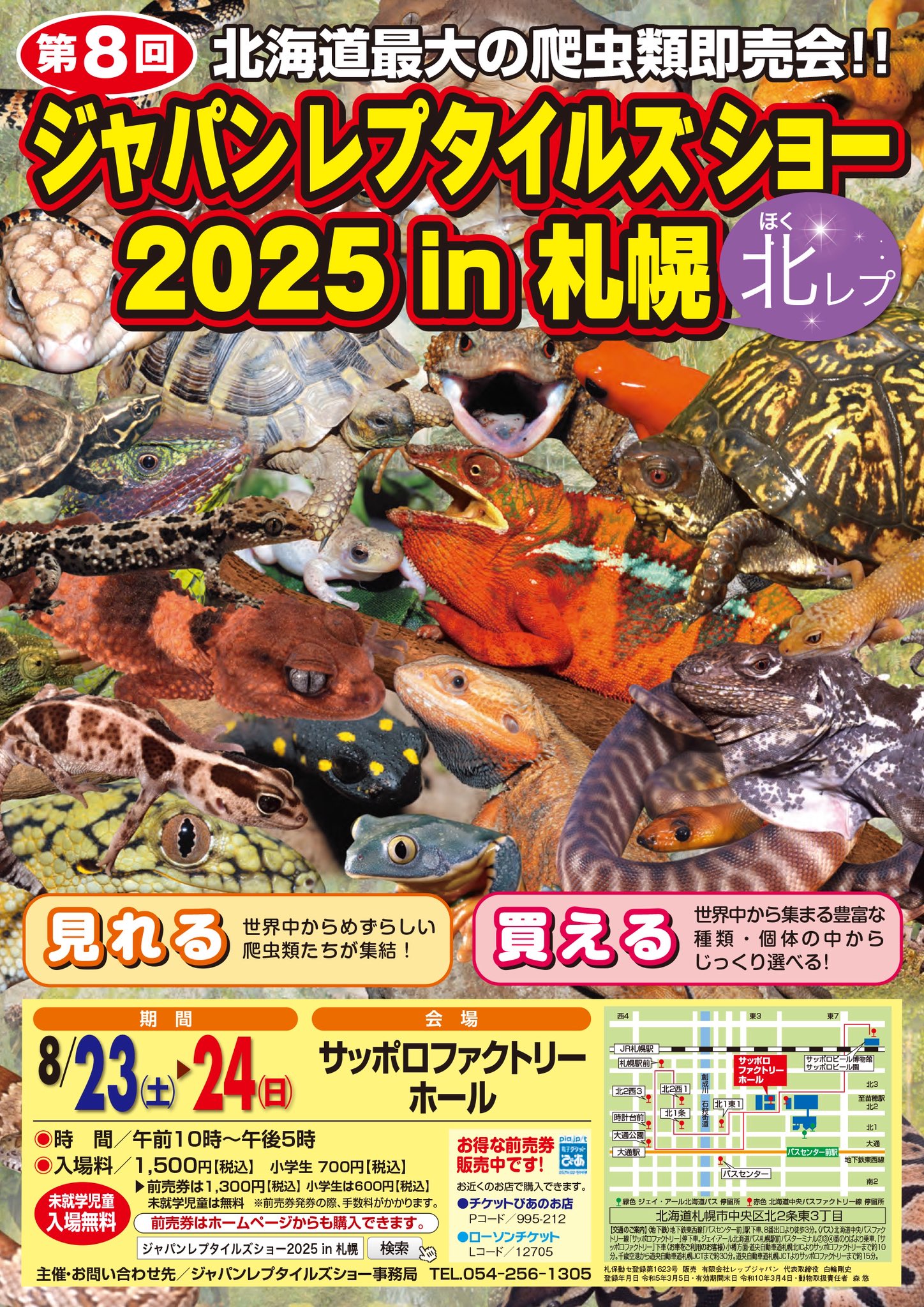 爬虫類用品　まとめ売り new！爬虫類買取強化中！爬虫類、ブリード個体、猿、小動物