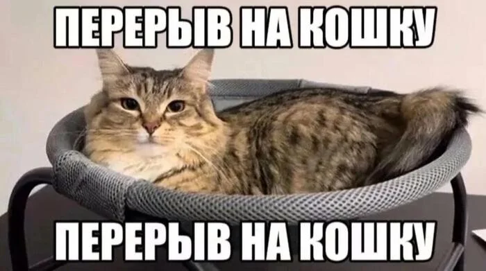 Заумный поварюга 🍳🍳🍳 (@abstruse_cook) on Twitter photo 