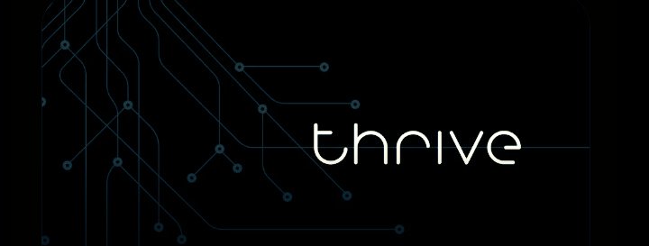 Using Internet Capital allocation.
Thrive make capital intelligent

 The internet unlocked information. Thrive is unlocking capital.

By making capital context aware and goal driven,Thrive isn’t just allocating, it’s thinking.This is where finance meets intelligence.

gThrive.