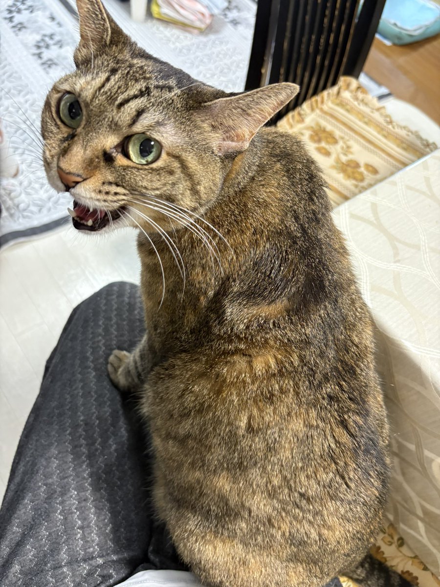 kotoka (@kotoka62828492) / Posts / X