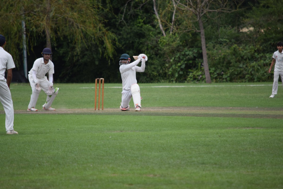 The Bushmen tweet media