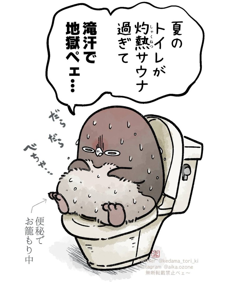 夏のトイレ暑すぎ問題
#虚無かわいいアデリーペンギン