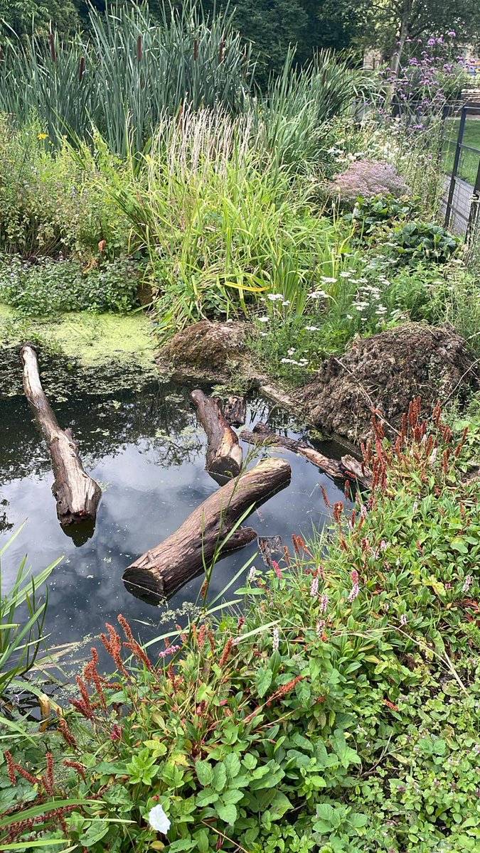 We’re disappointed to see logs have been intentionally  thrown into our pond on Sunday &amp; Monday. It’s not just unsightly — it damages the pond’s fragile ecosystem &amp; harms wildlife. Please help us protect this special space by respecting the gardens &amp; reporting vandalism