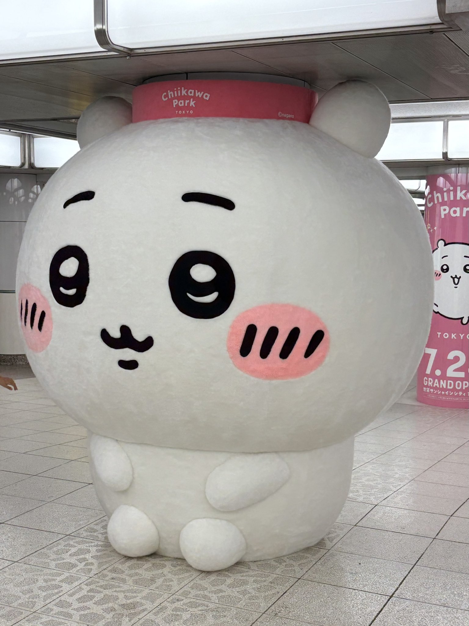 らぶにゃ◡̈♥︎  ELMO えむぞこゃ！ on X: 