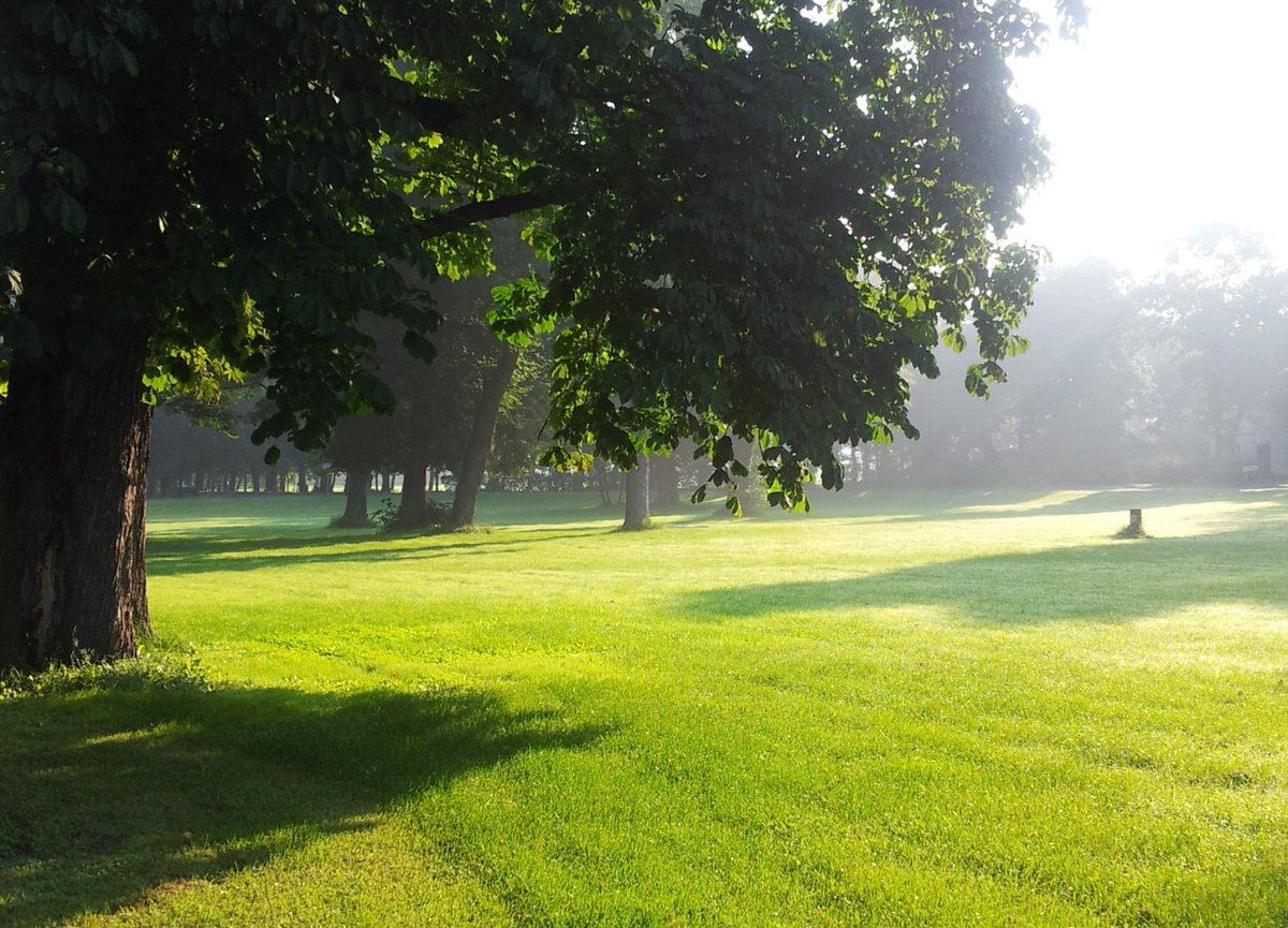 🌿 Happy #LoveParksWeek! 🌱
At Safe Soil UK, we believe healthy soil = healthy parks. Let's protect the ground beneath our feet, as it's where biodiversity blooms, trees thrive, and communities connect.
💚 Love your park. Respect your soil.
#SafeSoil #LoveParks #SoilHealth
