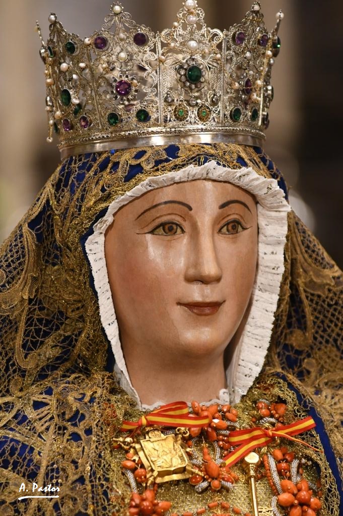 Álvaro Pastor Torres (@apastort) on Twitter photo Virgen de los Reyes. Primer besamanos 2025 <a href="/VirgenDeReyes/">Asociación de Fieles Ntra. Sra. de los Reyes</a> <a href="/carloscrivell/">Carlos Crivell</a> <a href="/ACasadoV/">Antonio Casado</a> <a href="/Navarroantolin/">C. Navarro Antolín</a> <a href="/djgeniz/">Diego J. Geniz</a> <a href="/juanpress/">Juan Parejo </a> <a href="/isabelmgn153564/">Isabel Mª Gª Negrete</a> <a href="/JavierComasR/">Javier Comas</a> <a href="/manueljrrechi/">Manuel J. Rodríguez Rechi</a> <a href="/sultantrianero/">Antonio Sánchez Carrasco</a> <a href="/PerisLC/">Luis Carlos Peris</a> <a href="/carlogarcialara/">Carlos García Lara</a> <a href="/LaSita29/">Margot</a> <a href="/Falconetta/">María Rocío Oliva</a> <a href="/GRayoVictor/">Víctor García-Rayo</a> <a href="/AmparoRB499738/">Amparo R.B.</a> <a href="/JesusRomanov/">Jesús Romanov López-Alfonso</a> Virgen de los Reyes. Primer besamanos 2025 <a href="/VirgenDeReyes/">Asociación de Fieles Ntra. Sra. de los Reyes</a> <a href="/carloscrivell/">Carlos Crivell</a> <a href="/ACasadoV/">Antonio Casado</a> <a href="/Navarroantolin/">C. Navarro Antolín</a> <a href="/djgeniz/">Diego J. Geniz</a> <a href="/juanpress/">Juan Parejo </a> <a href="/isabelmgn153564/">Isabel Mª Gª Negrete</a> <a href="/JavierComasR/">Javier Comas</a> <a href="/manueljrrechi/">Manuel J. Rodríguez Rechi</a> <a href="/sultantrianero/">Antonio Sánchez Carrasco</a> <a href="/PerisLC/">Luis Carlos Peris</a> <a href="/carlogarcialara/">Carlos García Lara</a> <a href="/LaSita29/">Margot</a> <a href="/Falconetta/">María Rocío Oliva</a> <a href="/GRayoVictor/">Víctor García-Rayo</a> <a href="/AmparoRB499738/">Amparo R.B.</a> <a href="/JesusRomanov/">Jesús Romanov López-Alfonso</a>