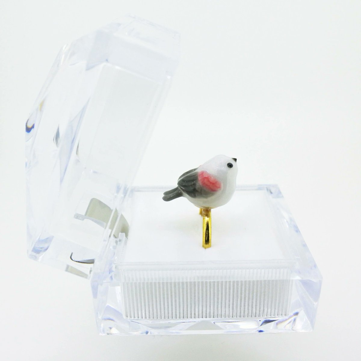 sasacojunior's tweet image. Some songbirds are true navigation experts🐦
Using Earth’s magnetic field, air pressure, and even the stars, they migrate thousands of kilometers.
Tiny bodies, epic journeys🧭
#BirdNavigation #MigrationScience #AvianCompass #SmallBirdBigTrip #ArtistOnX #IndieArtist