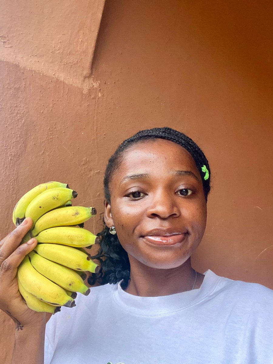 IVSA_SCOW_NG's tweet photo. IVSA UNILORIN 
Can be summed up as Numbers, vibes, and fruit power! 
They showed up en masse, repping their favorite fruits with style and smiles.
The energy from these entries is the loudest!
#IVSASCOWNG #FruitStreakChallenge https://t.co/Myrpam32J1