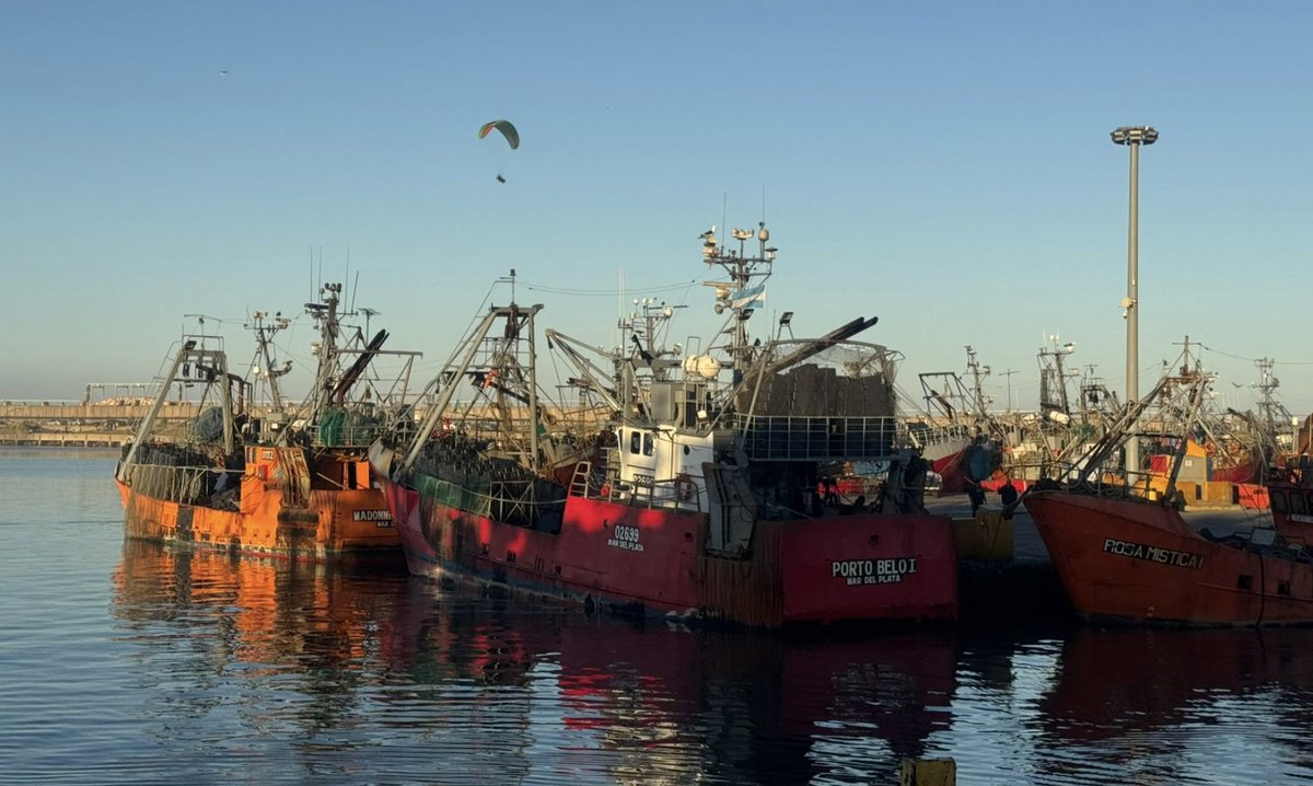 "Somos la pesca chica, no resistimos un aumento más": Armadores costeros rechazan suba en la estiba. 
Ver nota completa👉🏾bit.ly/4mnO9t3