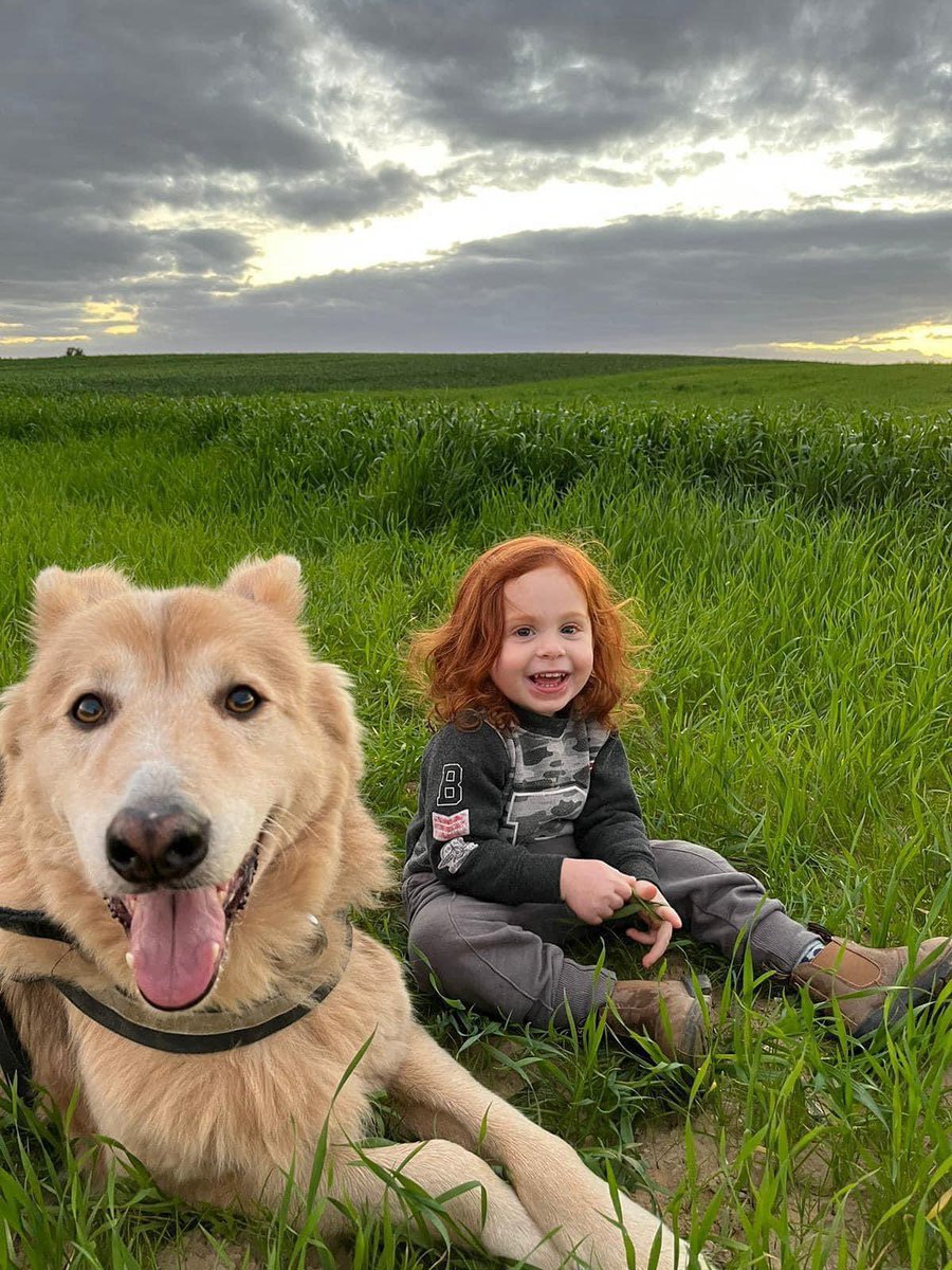 Heute wäre Ariels 6. Geburtstag – wenn Hamas-Terroristen ihm nicht das Leben genommen hätten. Happy Birthday, kleiner Engel.