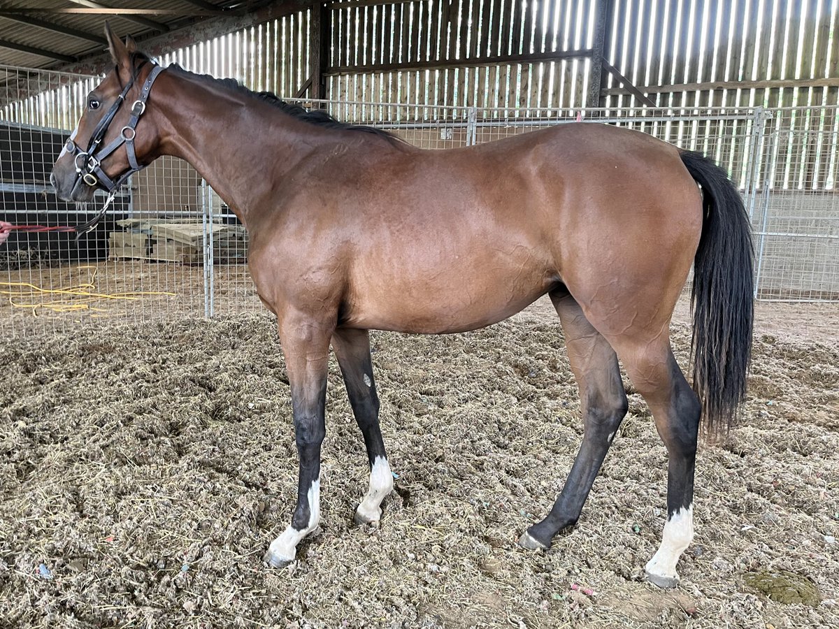 When you come in from the field for prep looking like this we can safely say our team has nailed the winter/summer care!