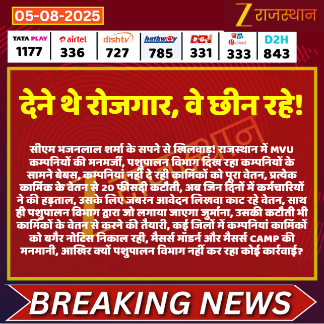 #Jaipur देने थे रोजगार, वे छीन रहे!

<a href="/RajGovOfficial/">Government of Rajasthan</a> <a href="/BhajanlalBjp/">Bhajanlal Sharma</a> <a href="/RajCMO/">CMO Rajasthan</a> <a href="/kashiram_journo/">Kashiram Choudhary</a> #LatestNews #RajasthanNews #RajasthanWithZee