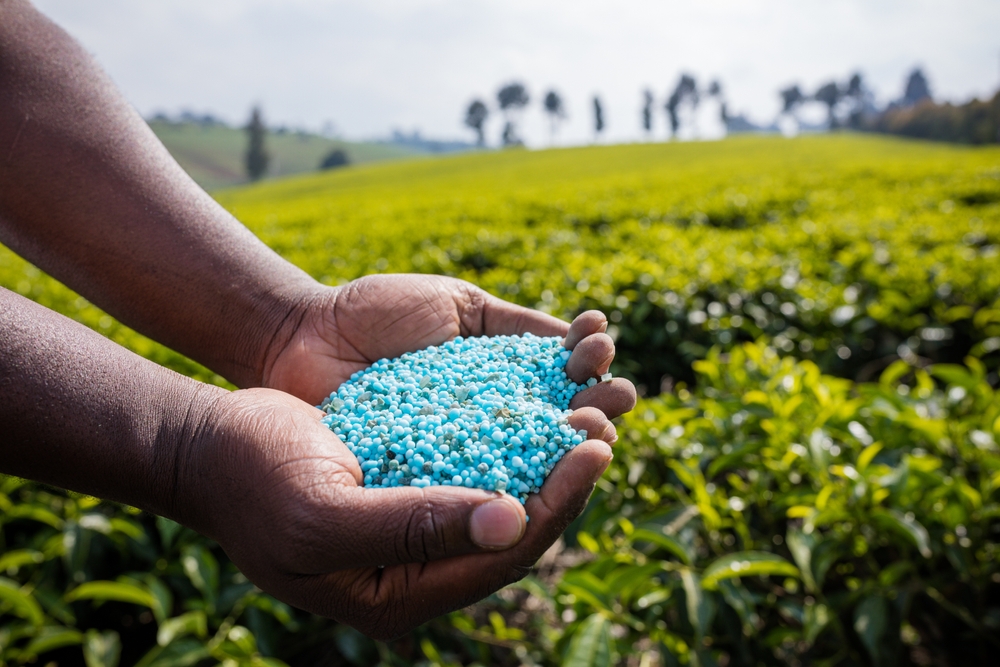 Rothamsted's tweet image. Why is phosphorus such a vital nutrient and can sustainable use be achieved in Africa? Global P summit in Ghana this September aims to find out 🇬🇭🌱🚜 @UK_CEH @LancasterUni @csir_ghana @FARAinfo 
Full story 👇
rothamsted.ac.uk/news/global-ph…