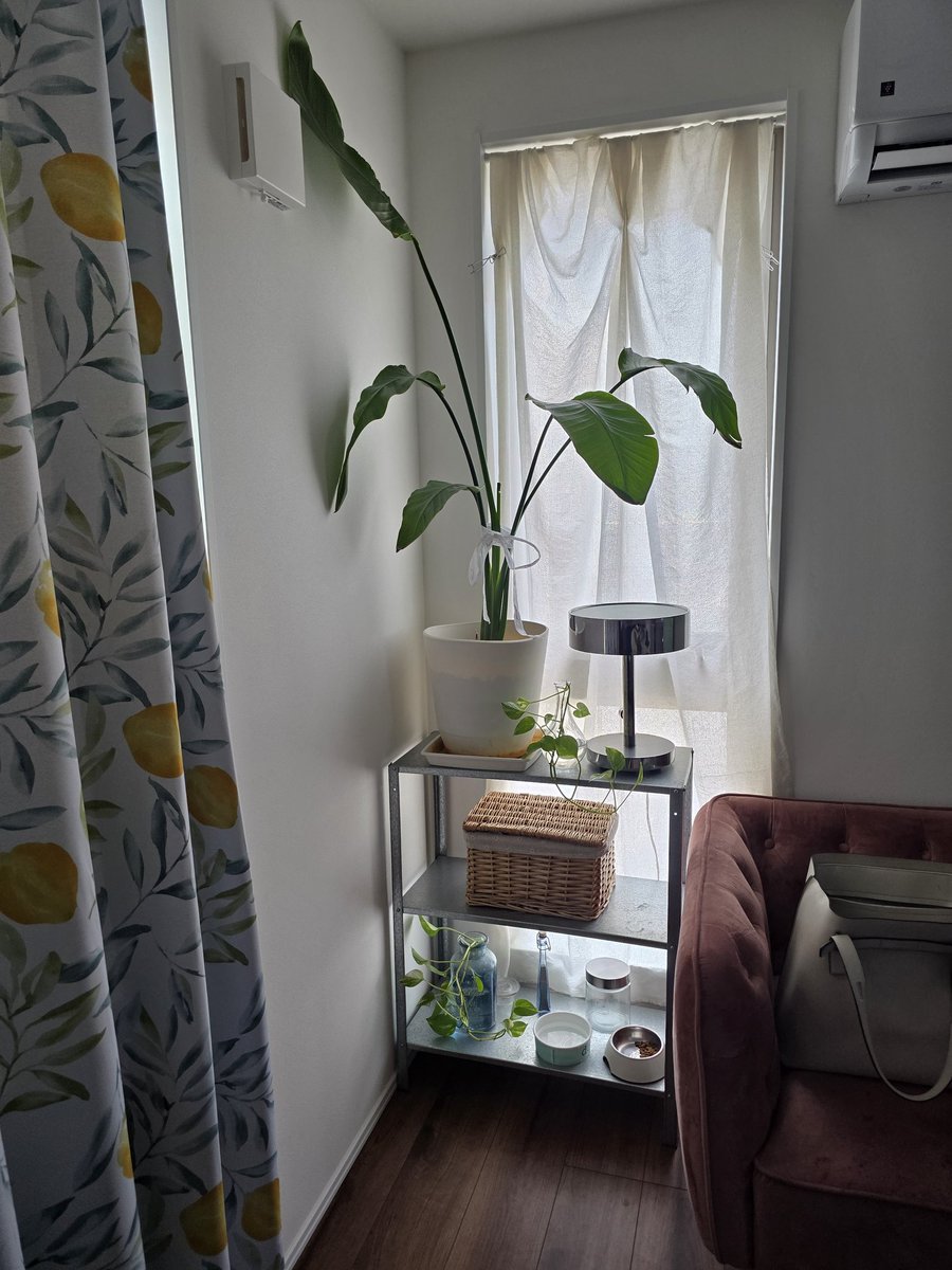 暑くて外出できないから、お部屋快適化計画(笑)