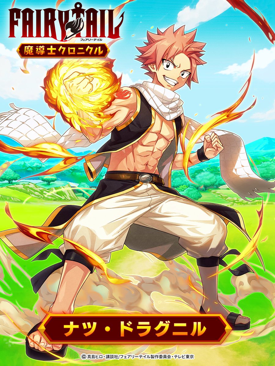 フェアリーテイル ナツドラグニル キャンバス フェアリーテイル