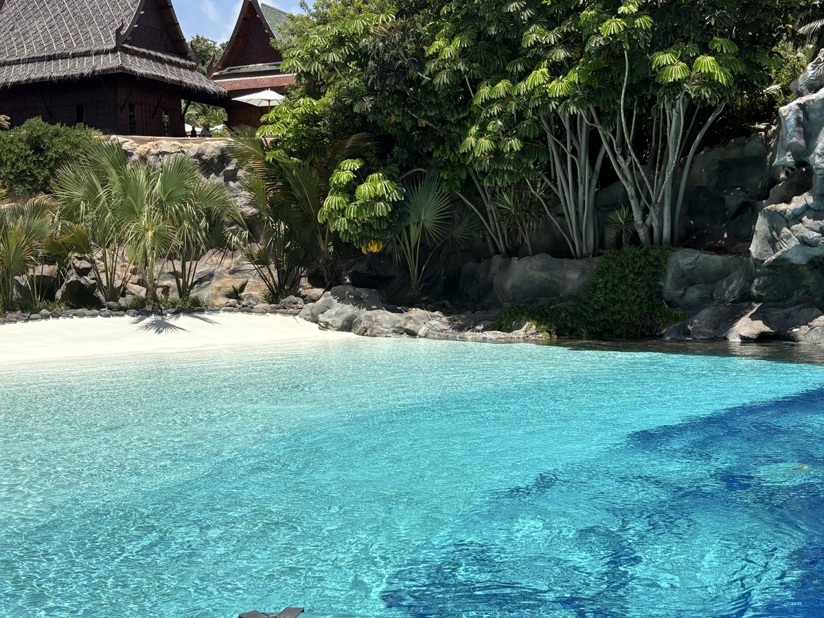 Tenerife, you have been fab ☀️ Last few days, enjoying the sun! 🩷