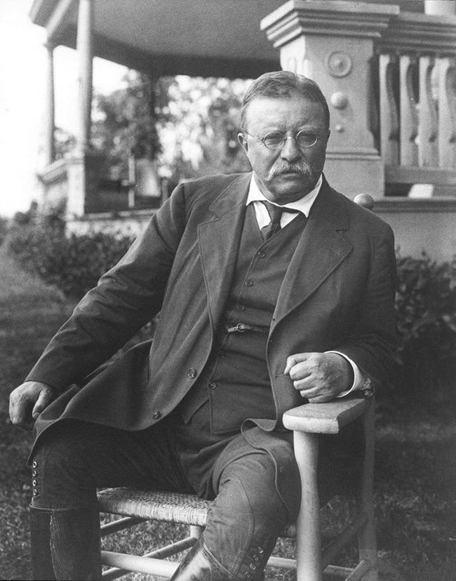 “A vote is like a rifle: its usefulness depends upon the character of the user.”
— Theodore Roosevelt, 1913.
