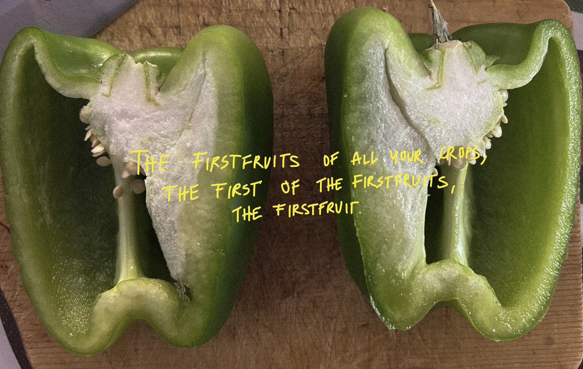 skymlees's tweet image. 