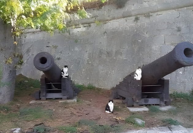 When breakfast is at 08:00 and it's 08:00:04