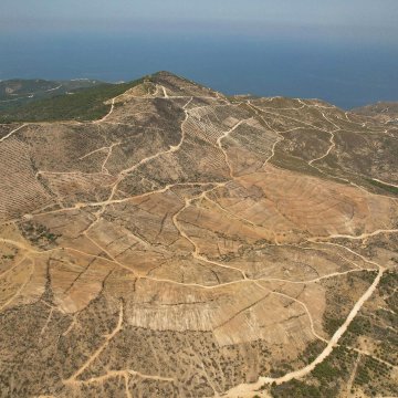 The images show an aerial view of a hilly, arid landscape in İzmir, Foça, with terraced, barren land and dirt paths, indicating areas cleared after a wildfire. Construction equipment like an excavator is visible, preparing the terrain for reforestation. The post text from Orman Genel Müdürlüğü (@OGMgovtr) explains that 234 hectares damaged by last year’s fire are being restored, with burned trees removed, studies completed, and land prepared for fall planting. The sea and a coastal town are visible in the background, adding context to the location. No platform watermarks are present.