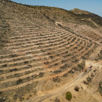 The images show an aerial view of a hilly, arid landscape in İzmir, Foça, with terraced, barren land and dirt paths, indicating areas cleared after a wildfire. Construction equipment like an excavator is visible, preparing the terrain for reforestation. The post text from Orman Genel Müdürlüğü (@OGMgovtr) explains that 234 hectares damaged by last year’s fire are being restored, with burned trees removed, studies completed, and land prepared for fall planting. The sea and a coastal town are visible in the background, adding context to the location. No platform watermarks are present.