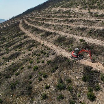The images show an aerial view of a hilly, arid landscape in İzmir, Foça, with terraced, barren land and dirt paths, indicating areas cleared after a wildfire. Construction equipment like an excavator is visible, preparing the terrain for reforestation. The post text from Orman Genel Müdürlüğü (@OGMgovtr) explains that 234 hectares damaged by last year’s fire are being restored, with burned trees removed, studies completed, and land prepared for fall planting. The sea and a coastal town are visible in the background, adding context to the location. No platform watermarks are present.
