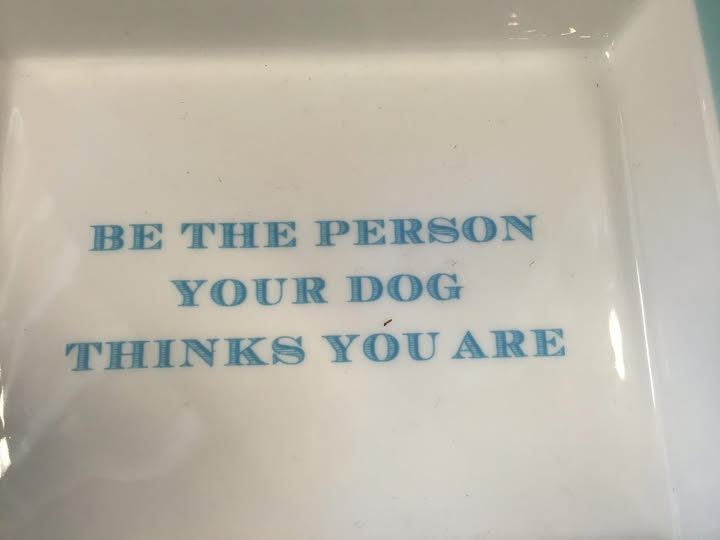 💯