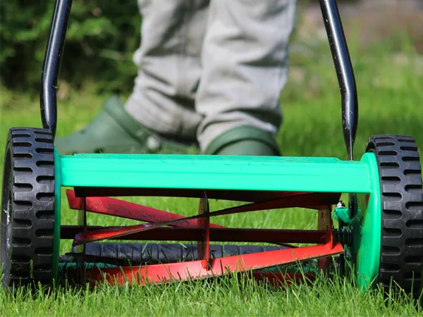 Regular mowing is 🔑 but using the right mower makes all the difference. 

Not sure which mower is best your lawn? 🌱 

Take a look at the pros and cons between cylinder mower and rotary mower  👉 bit.ly/healthy-lawn-t…