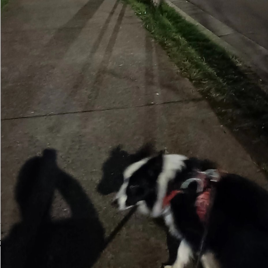 Leo_Creston tweet media