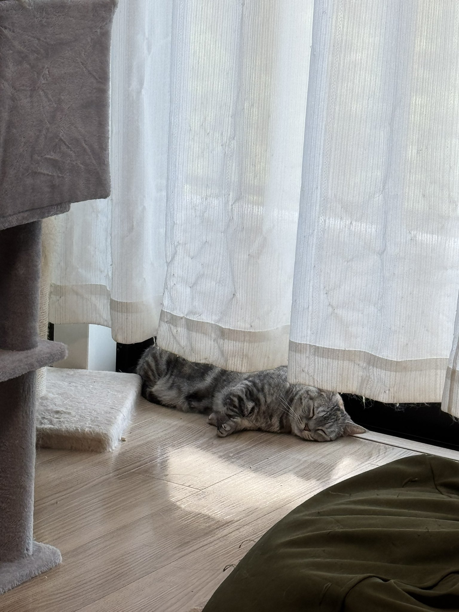 玄澤🐈 on X: 