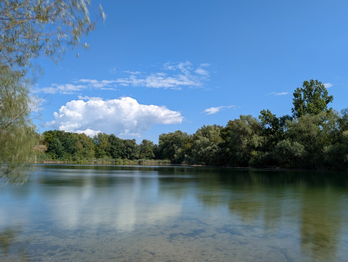 Guten Morgen!

Habt alle einen schönen Tag! 

Und wenn ihr könnt: Zaubert jemandem ein Lächeln ins Gesicht. Mit ein bisschen Glück wird es immer weitergetragen.

#LiebeIstAlles #SchönesGegenDoofes #FloodTheZoneMitSchoenem