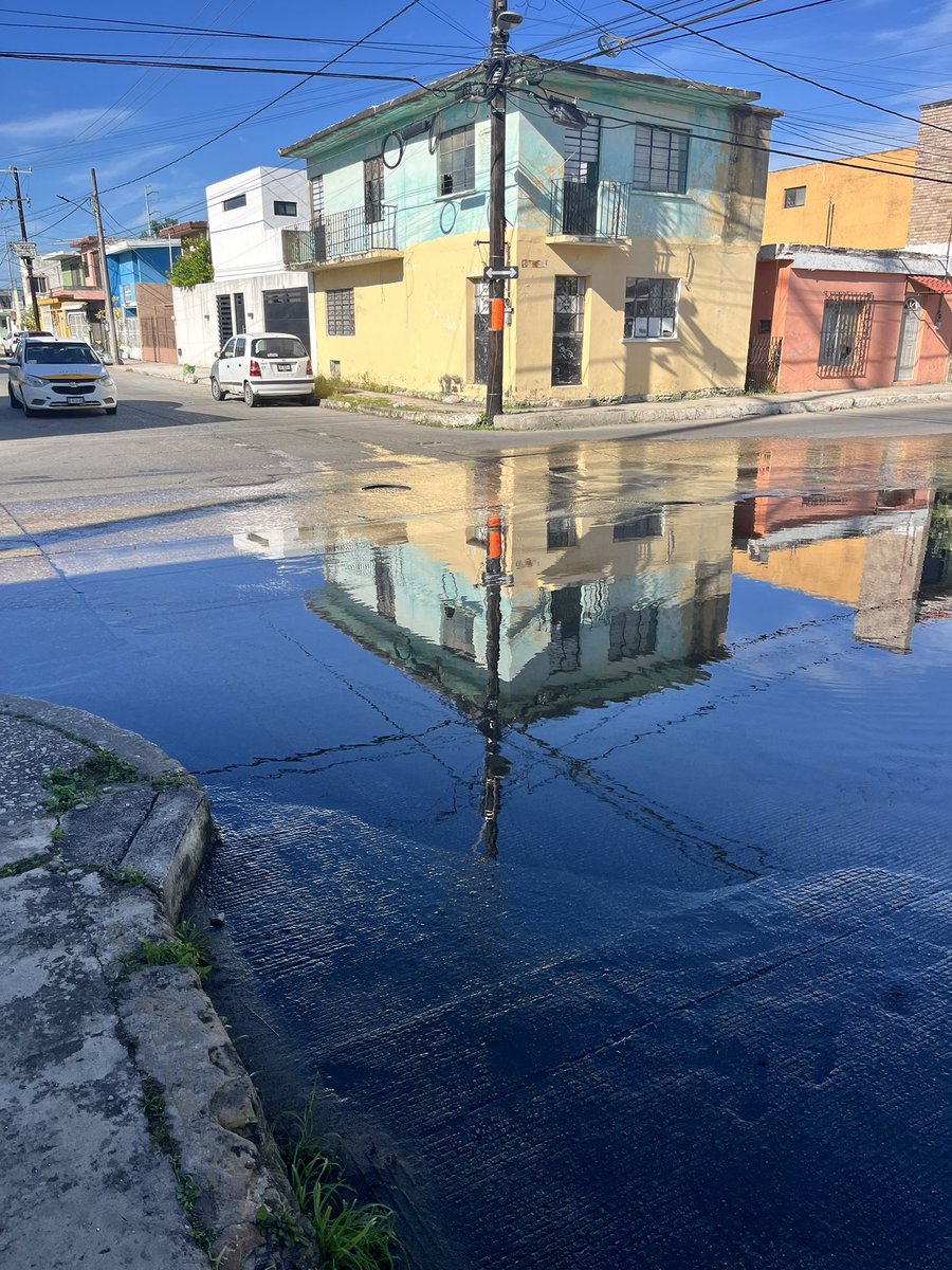 Enrique Lee tweet media