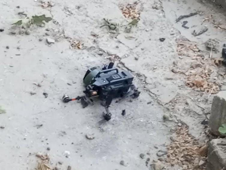 Alsaa_plus_EN tweet media