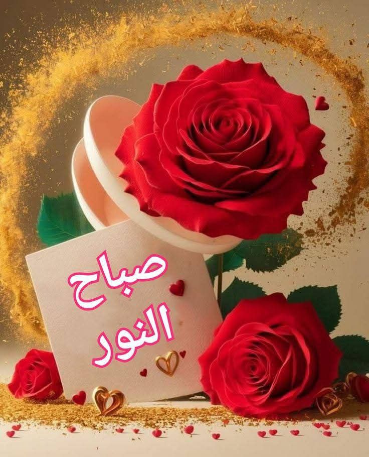 صباحك فل
