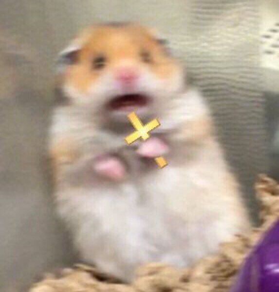 Me trying not to fall in love with someone just because they’re slightly nice to me