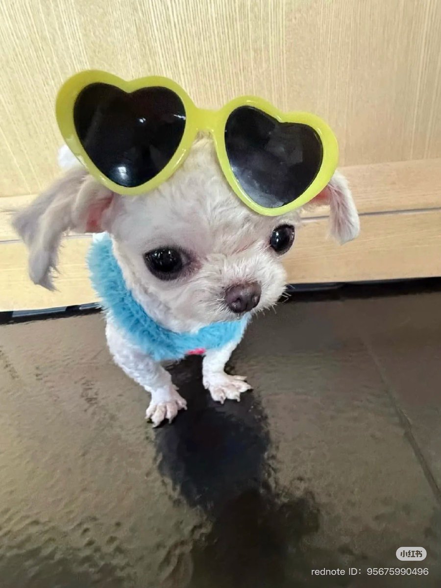 twaniimals's tweet photo. https://t.co/lUPCfqi7vz