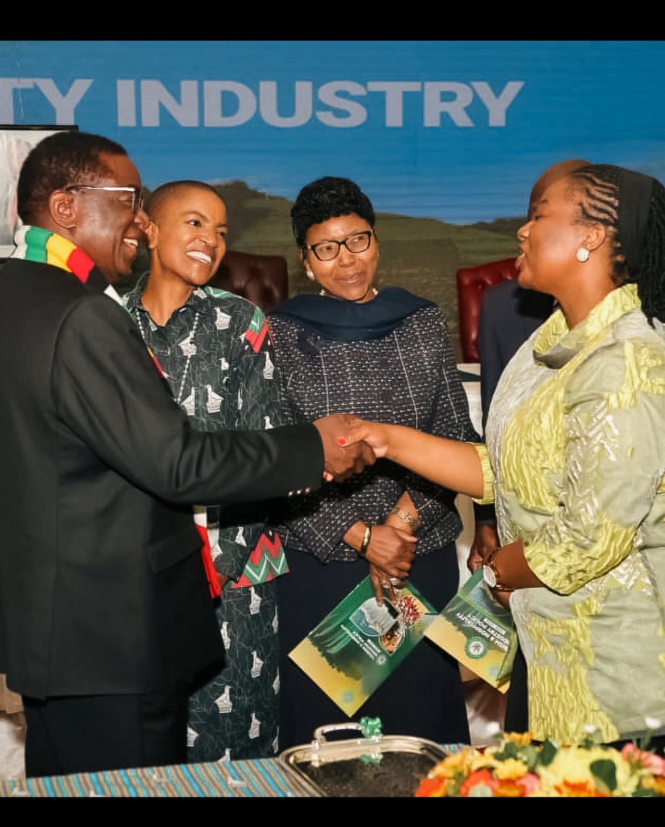 MaZwangendaba tweet media