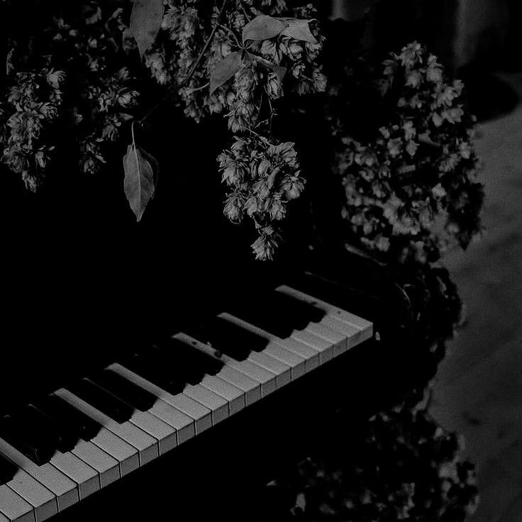 melodicnity_'s tweet image. 