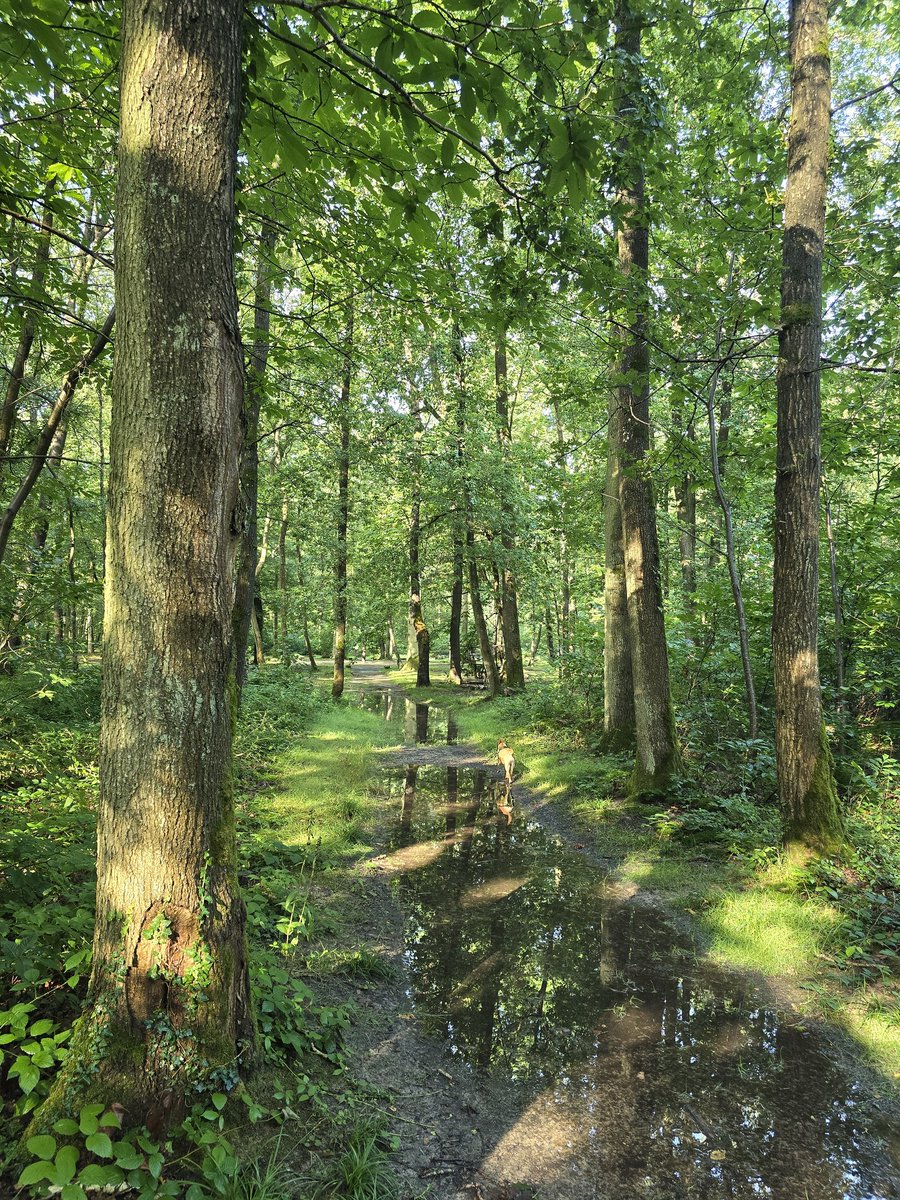 Bonjour, très belle journée 
Happy #thicktrunktuesday !