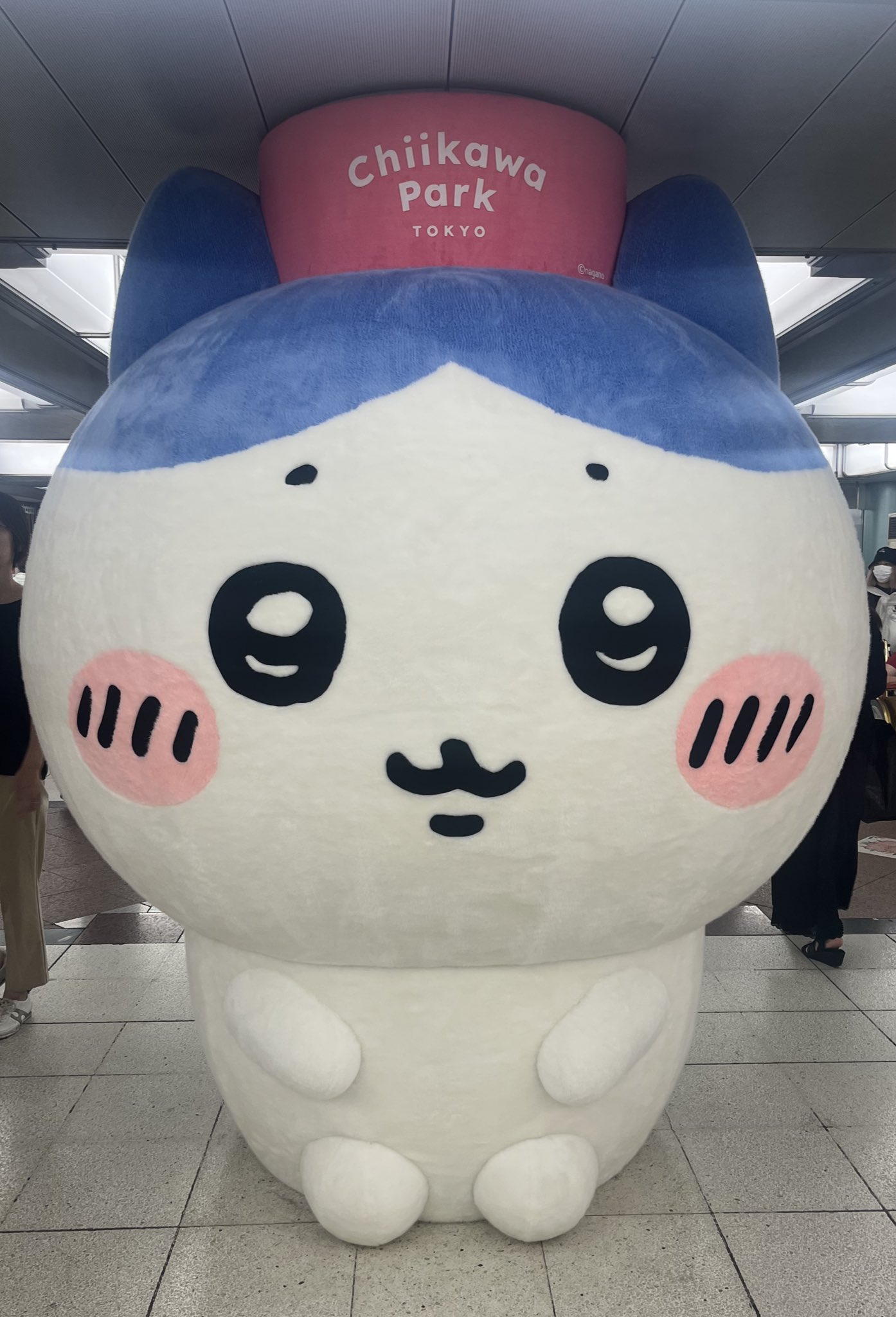 かな on X: 